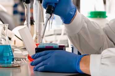 bienvenido imagen home